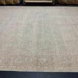 9’11 x 14’6 Traditional Style Rug Pure Soft Organic Wool Powder Blue, Cream & Taupe LB59 MK1068