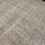 9’7 x 11’6 Traditional Vintage Rug Muted Beige & Sea Green 5792