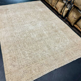 6’3 x 9’4 Classic Vintage Rug Muted Beige & Dark Taupe