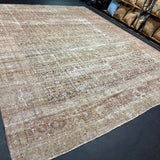11’ x 14’ Classic Antique Rug Green, Beige, Brown, Rust 5730