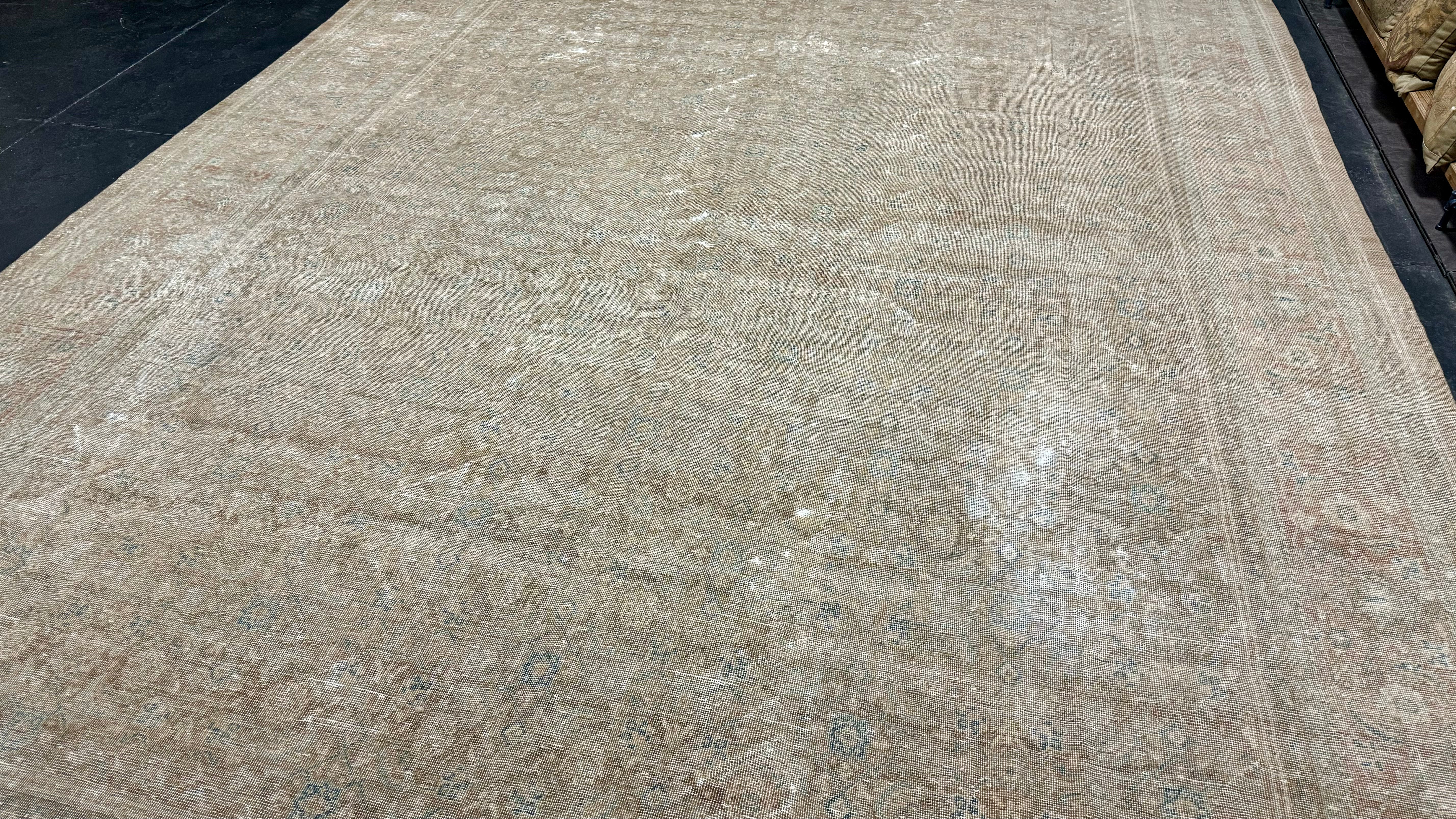 Sage Muted Rug 10’2 x 17’5 Classic Vintage Rug Muted Camel Beige, Blue & Sage '5465 ...