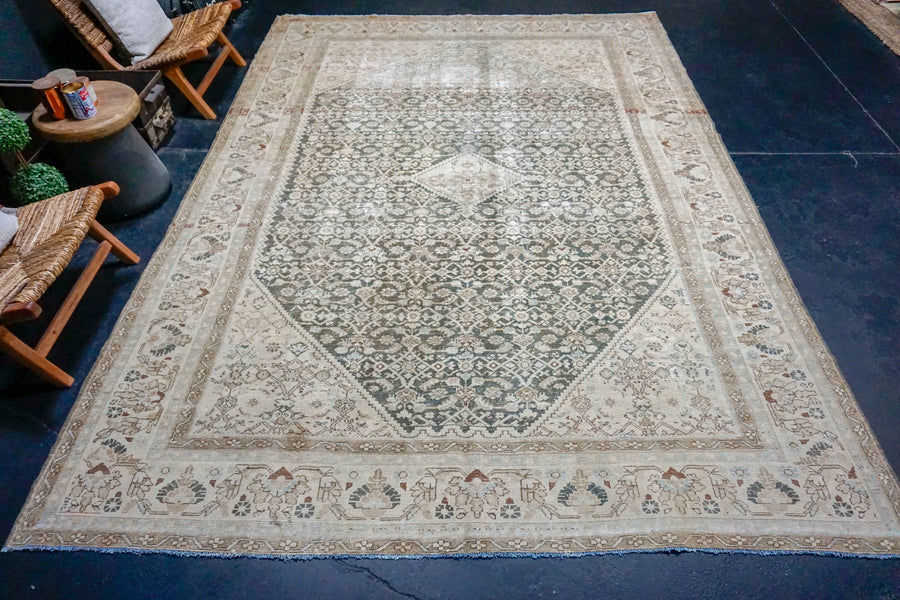 8’6 x 11’9 Classic Antique Rug Muted Beige + Clay Gray SB