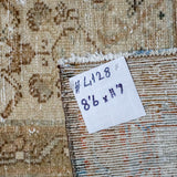 8’6 x 11’9 Classic Antique Rug Muted Beige + Clay Gray SB