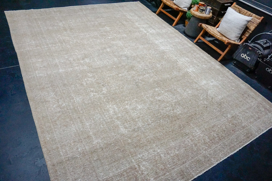 9’8 x 13’2 Classic Antique Carpet Muted Gray Beige SB