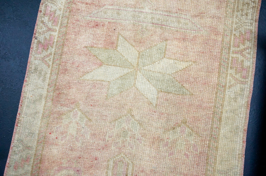 2’7 x 12’6 Herki Runner Muted Camel Beige, Coral & Gray