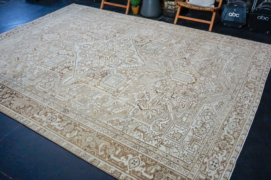 9’6 x 12’10 Classic Vintage Rug Muted Beige, Blue & Brown Carpet SB