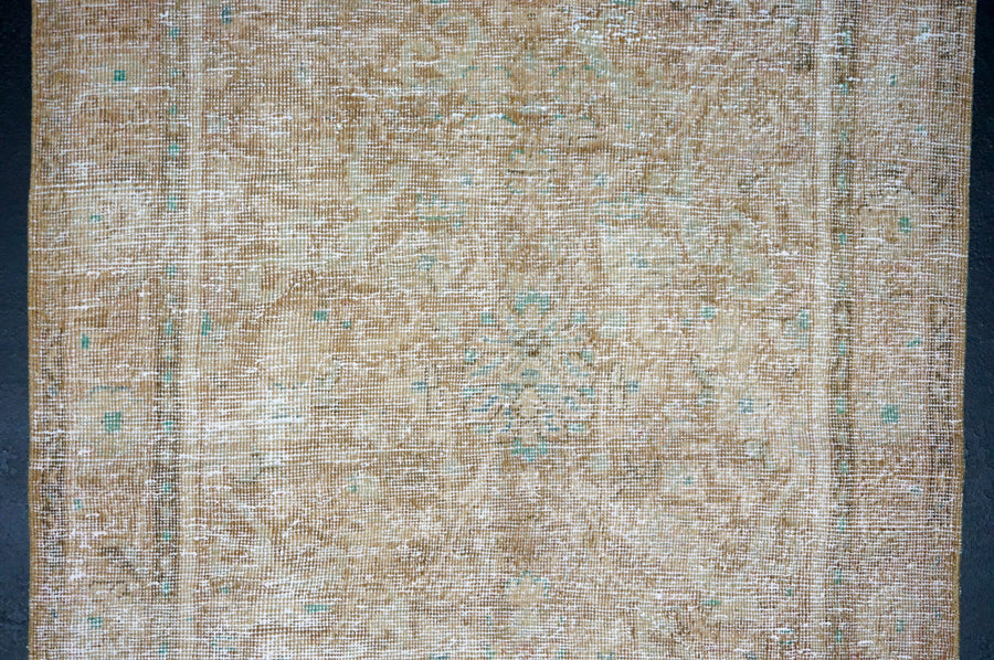 3’4 x 10’9 Classic Vintage Runner Muted Beige, Tawny Brown & Kelly Green