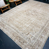 10’ x 13’6 Classic Vintage Rug Muted Beige & Green