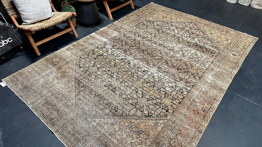 6’8 x 9’11 Classic Antique Rug Muted Black, Camel & Copper