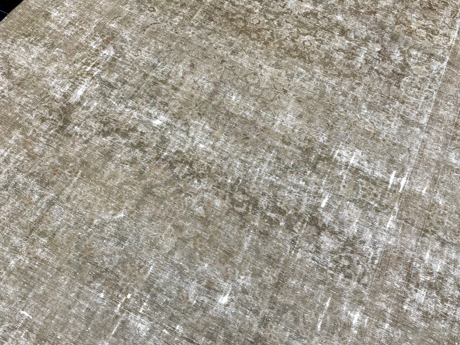 9’1 x 13’2  Classic Vintage Rug Muted Gray-Beige + Sage Green