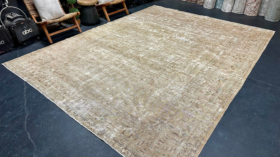 9’5 x 12’3 Classic Antique Rug Muted Beige & Turquoise